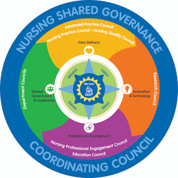 graphic describing the nursing shared governance process