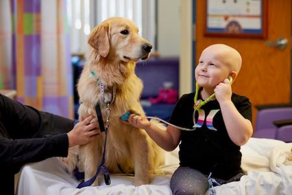 Child sitting on a hospital bed interacting with a therapy dog while a caregiver holds the dog's leash.