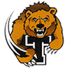 Turner High School logo