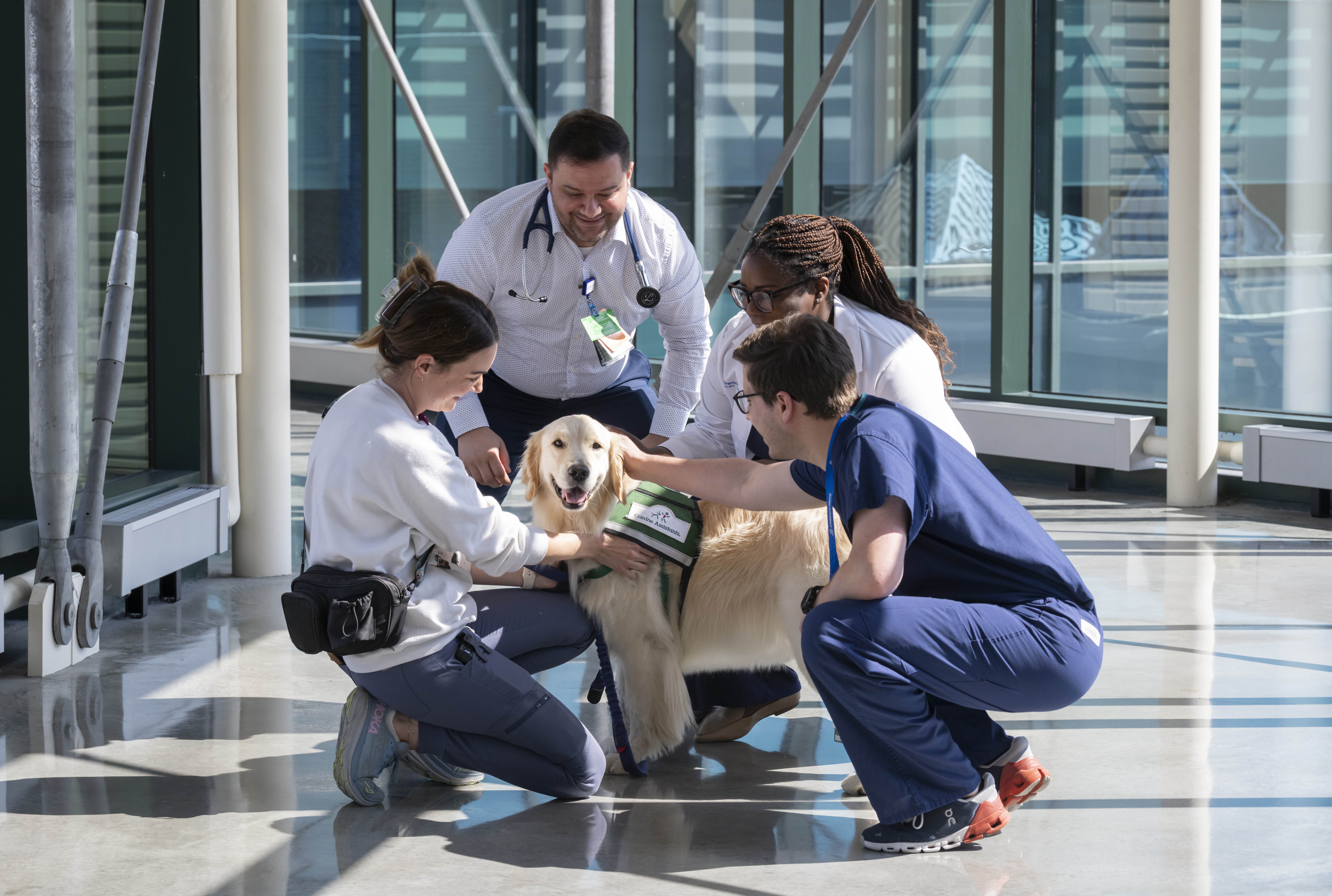 healthcare fellows in a bright hallway petting a therapy dog and smiling
