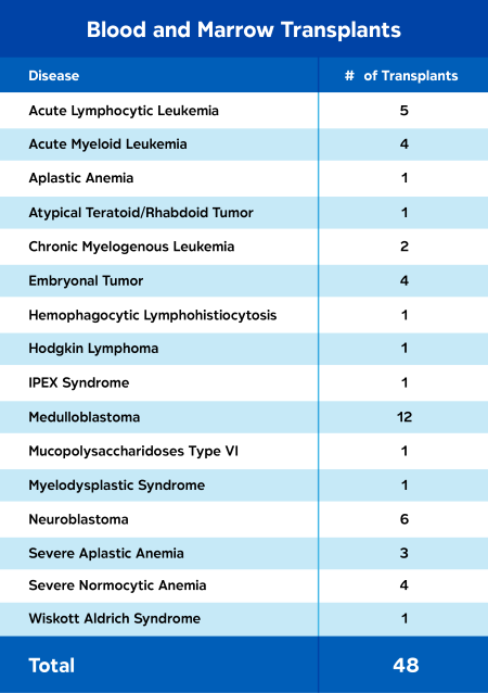 Blood and marrow transplant summary table showing 48 total transplants across multiple diseases, with medulloblastoma accounting for the largest number of transplants.