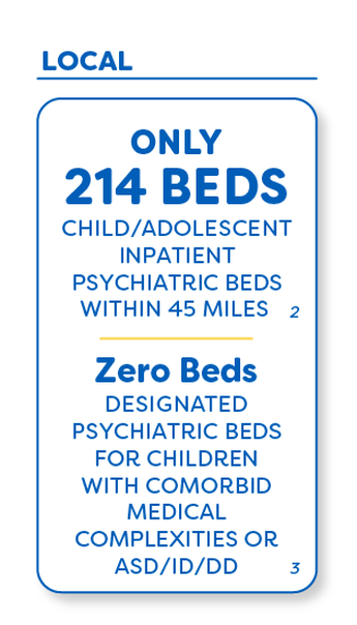 Infographic highlighting local youth mental health care capacity, noting 214 child and adolescent inpatient psychiatric beds within 45 miles and no designated psychiatric beds for children with co-occurring medical complexities, autism spectrum disorder, intellectual disability or developmental disabilities.