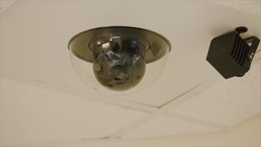 Ceiling-mounted video monitoring camera