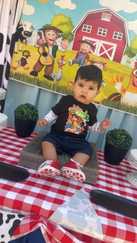 A one-year-old boy sits in front of a banner with a cartoon farm scene of a barn, farmers and farm animals. He is wearing a matching t-shirt.