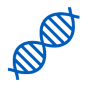 The outline of a DNA molecule. 